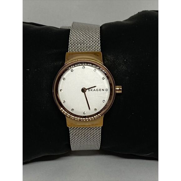 Skagen SKW1101 Women\'s stainless steel Mesh Analog Dial Quartz Wrist Watch JK636 main image 8